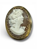 Brosche Mandile 1922 Dame Cammei  in Silber Conchiglia 2MSPCM17